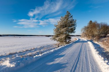 Kır manzarası soğuk bir kış manzarası. Güneş doğarken kar ve donla kaplı.