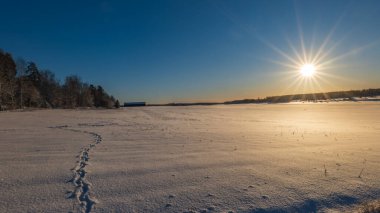 Kır manzarası soğuk bir kış manzarası. Güneş doğarken kar ve donla kaplı.