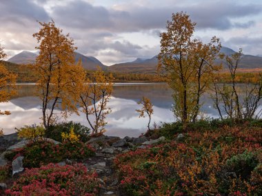 Sonbaharda gündoğumu gölü. Abisko Ulusal Parkı, İsveç 'in kuzeyinde.