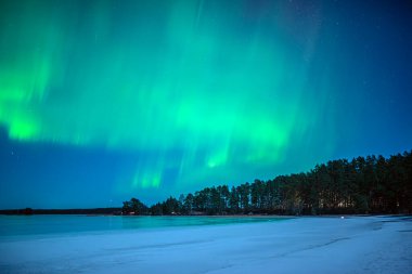 İsveç 'teki sakin göl üzerindeki kuzey ışıklarının manzarası (Aurora borealis) Farnebofjarden Milli Parkı
