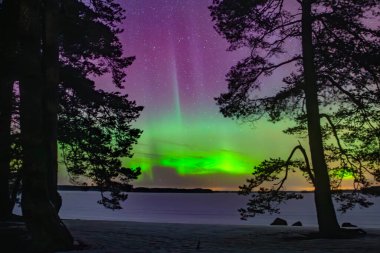 İsveç 'teki sakin göl üzerindeki kuzey ışıklarının manzarası (Aurora borealis) Farnebofjarden Milli Parkı