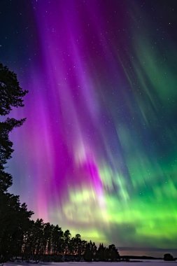 İsveç 'teki donmuş göl üzerindeki kuzey ışıklarının manzarası (Aurora borealis) Farnebofjarden Milli Parkı