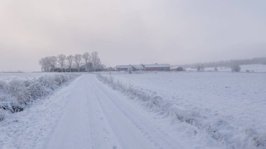 Kır manzarası soğuk bir kış manzarası. Kar ve buzla kaplı.