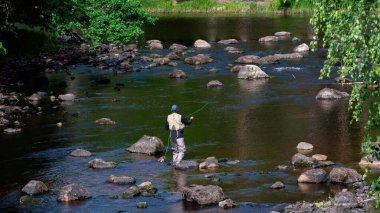 Sonbaharda İsveç nehri ve natura somonl bölgesi. Farnebofjarden Ulusal Parkı, İsveç 'in kuzeyinde..