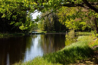Sonbaharda İsveç nehri ve natura somonl bölgesi. Farnebofjarden Ulusal Parkı, İsveç 'in kuzeyinde..
