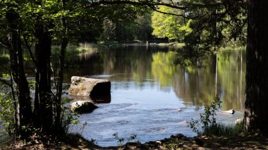 Sonbaharda İsveç nehri ve natura somonl bölgesi. Farnebofjarden Ulusal Parkı, İsveç 'in kuzeyinde..