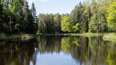 Sonbaharda İsveç nehri ve natura somonl bölgesi. Farnebofjarden Ulusal Parkı, İsveç 'in kuzeyinde..