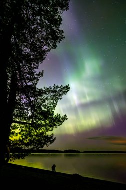 İsveç 'teki sakin göl üzerindeki kuzey ışıklarının manzarası (Aurora borealis) Farnebofjarden Milli Parkı