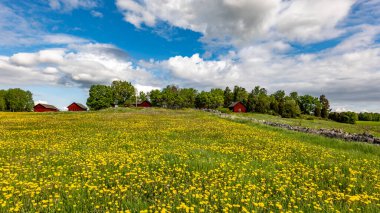 Baharda güzel bir çiftlik arazisinde tipik kırmızı bir kulübe..