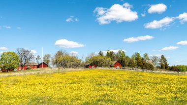 Baharda güzel bir çiftlik arazisinde tipik kırmızı bir kulübe..