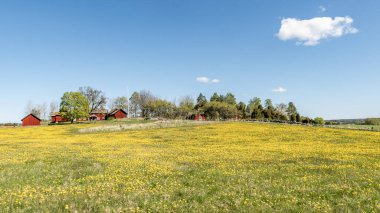 Baharda güzel bir çiftlik arazisinde tipik kırmızı bir kulübe..