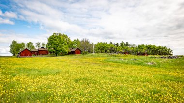 Baharda güzel bir çiftlik arazisinde tipik kırmızı bir kulübe..