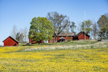 Baharda güzel bir çiftlik arazisinde tipik kırmızı bir kulübe..