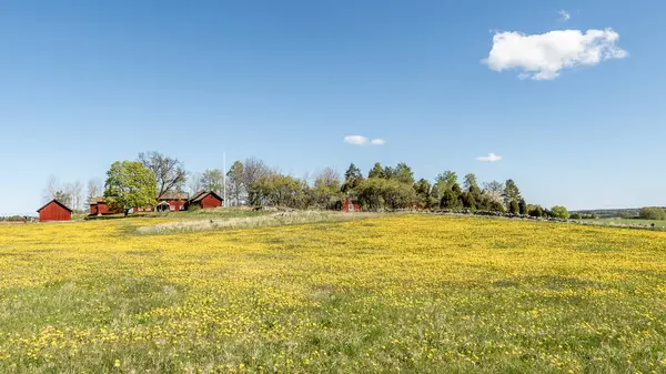 Baharda güzel bir çiftlik arazisinde tipik kırmızı bir kulübe..