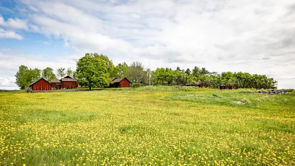 Baharda güzel bir çiftlik arazisinde tipik kırmızı bir kulübe..