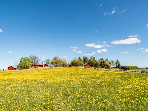 Baharda güzel bir çiftlik arazisinde tipik kırmızı bir kulübe..