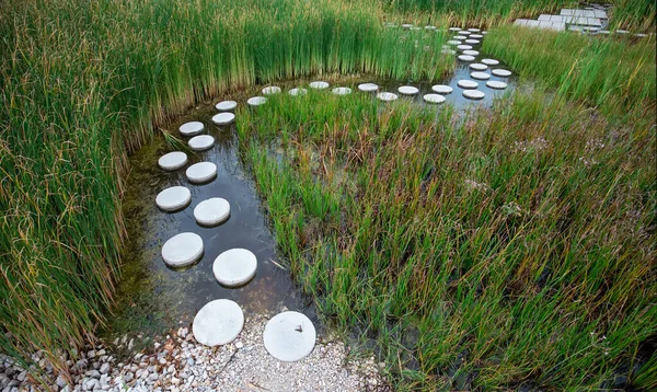 Zen Stone Path Water — Stock Photo, Image