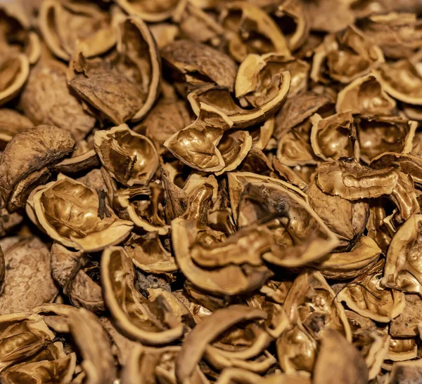 Heap Peeled Walnut Nutshell — Stock Photo, Image