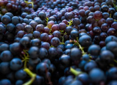 Bunch of grapes in crate
