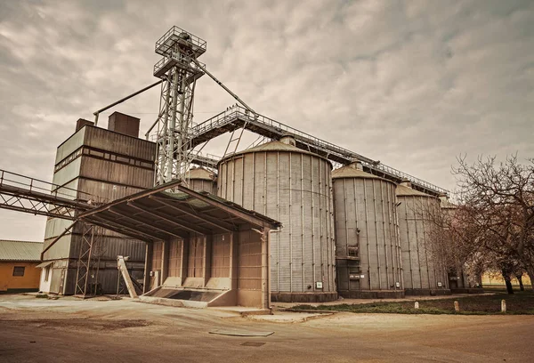 Зернові Силоси Зерносушарка Сільськогосподарської Промисловості — стокове фото