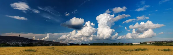 Panorama Paisagem Com Campo Cultivado Céu Nublado Beleza — Fotografia de Stock