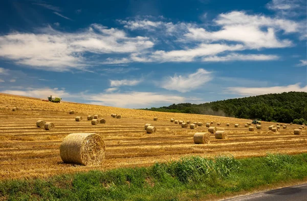 Harvester Machine Harvest Cereal Wheat Bale Hay — Stock Photo, Image