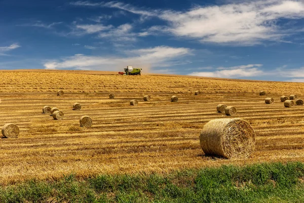 Машина Збирання Зернових Пшениці Тюка Сіна — стокове фото