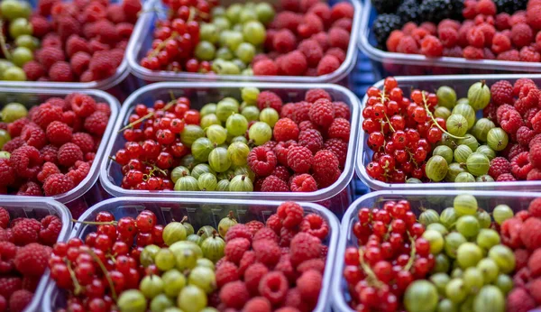 市面上有大量覆盆子 红醋栗及山莓 — 图库照片