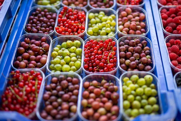 市場でのラズベリー 赤スグリ グーズベリーのヒープ — ストック写真
