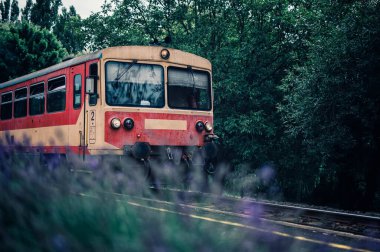 Çek BZMOT motor treni Balaton Gölü, Macaristan