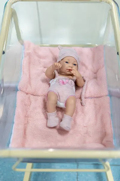 Bonito Bebê Boneca Colocar Cobertor Rosa Imagem De Stock