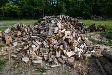 Yangın orman orman kenarında