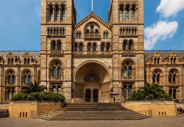 Doğal Tarih Müzesi cephesi Londra, İngiltere - 26 Haziran 2024.