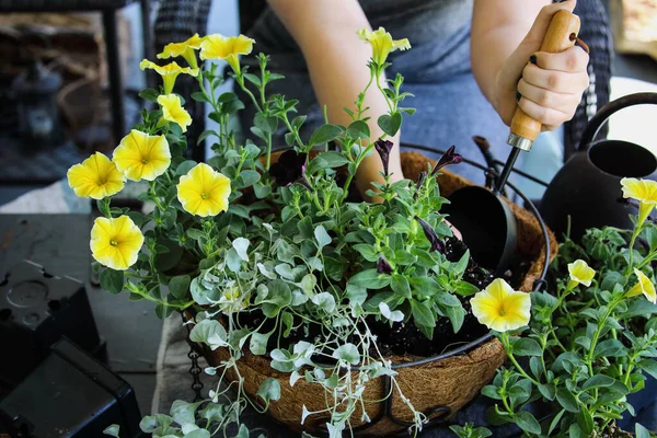 Young Woman Using Trowel Plant Mixed Annual Hanging Basket Pot — Stock Photo, Image