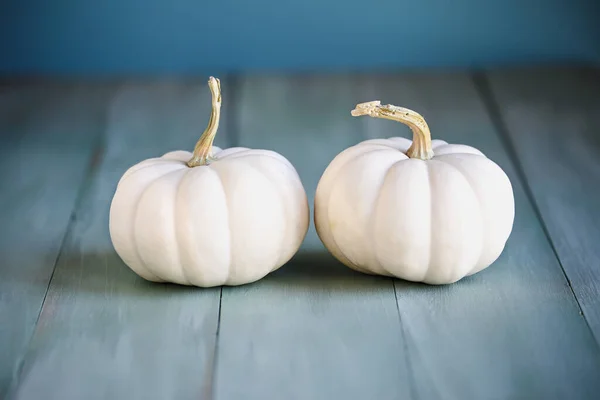 Front View Two Small Mini White Fall Pumpkins Rustic Blue — Stock Photo, Image