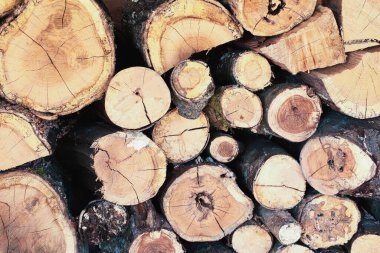 Kışın yakıt olarak kullanmak için kesilmiş odun yığını. Yakacak odun arkaplanı.