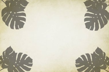 Faded stained parchment paper with the shadow of Monstera leaves over the background with copy space.	