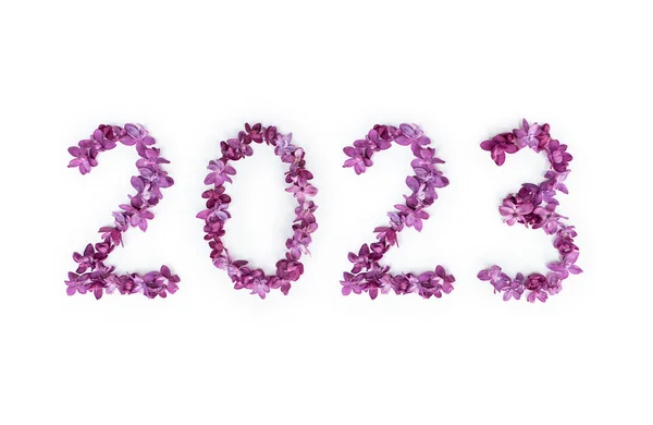 Nuevo Año 2023 Hecho Flores Lila Sobre Fondo Blanco —  Fotos de Stock