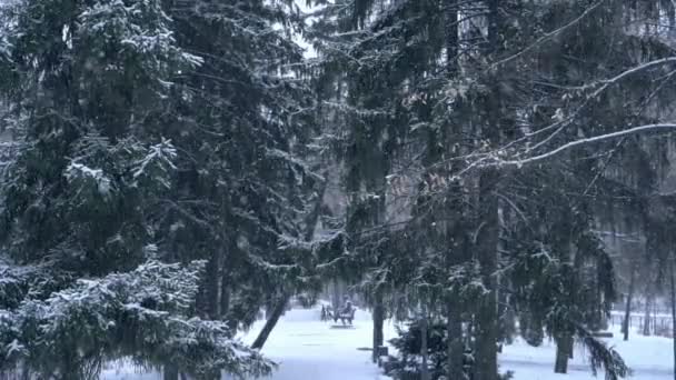 Χιονοπτώσεις Στο Πάρκο Της Πόλης Αργή Κίνηση — Αρχείο Βίντεο