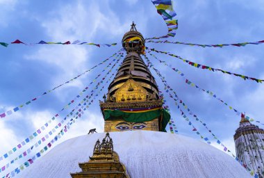 Budist dua bayraklarıyla rüzgarda sallanan Swayambhunath Stupa ve maymun silueti. Katmandu, Nepal.