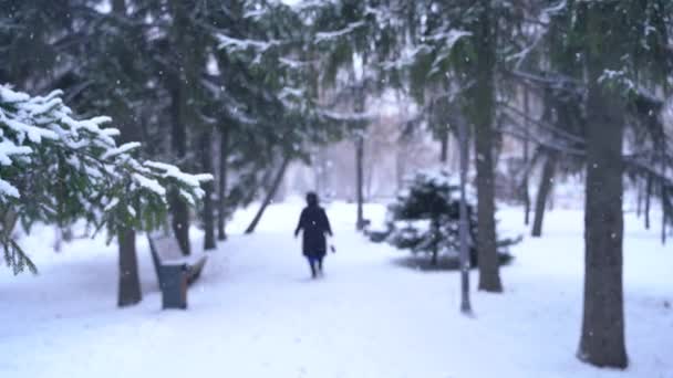 城市公园里的降雪 一个女人的轮廓向前走 — 图库视频影像
