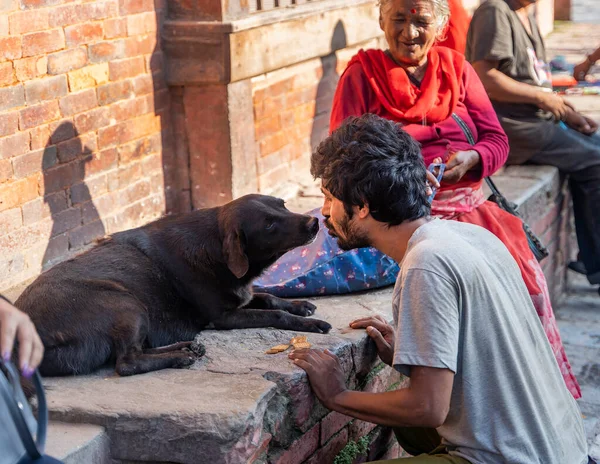 Kathmandu Nepal August 2022 Menschen Nepal Mann Füttert Streunenden Hund — Stockfoto