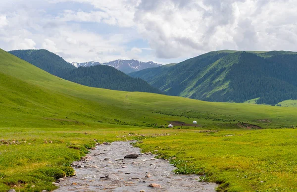 Kazakistan 'ın güzel doğası yazın kıç platosunda. Dağ nehri, yeşil tepeler ve beyaz yurtlar.