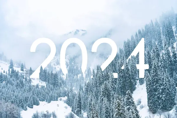Metin 2024 ormanda kışın karla kaplı dağlarda kar ve sis sırasında. Doğada yeni yıl 2024