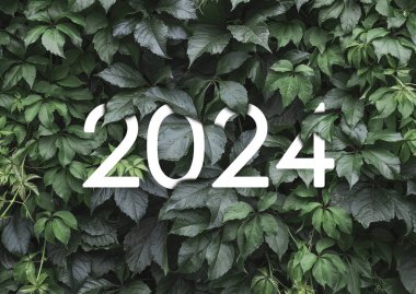 2024 Yeni Yıl Beyaz Metni Doğal Yeşil Yapraklar Duvarı 'na gizlenmiş.