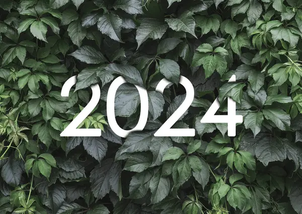2024 Año Nuevo Texto Blanco Oculto Pared Hojas Verdes Naturales — Foto de Stock