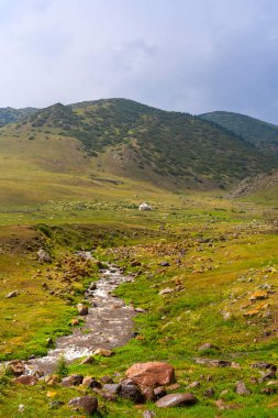 Kazakistan 'ın güzel doğası yazın kıç platosunda. Dağ nehri, yeşil tepeler ve beyaz yurtlar.