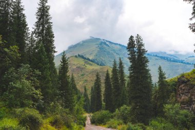 Almaty şehri yakınlarında bulutlarla kaplı yüksek dağlar, Kazakistan.