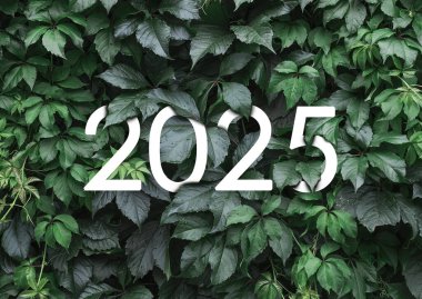 2025 Yeni Yıl Beyaz Metni Doğal Yeşil Yapraklar Duvarı 'na gizlenmiş.