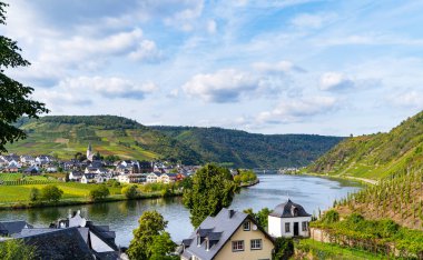 Beilstein köyünün panoramik çatı manzarası ve Moselle Nehri üzüm bağlarıyla çevrili..
